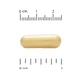 Мультивітаміни Life Extension (Two-Per-Day Capsules) 120 капсул - зображення 3