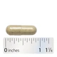 Пажитник Nature's Way (Fenugreek Seed) 610 мг 100 капсул - зображення 4