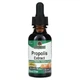 Прополис без спирта Nature's Answer (Propolis) 2000 мг 30 мл - изображение 1