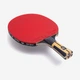 Ракетки для настольного тенниса Butterfly Timo Boll Force - изображение 4