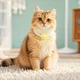 Брелок-поисковый трекер Hoco E91D Tiger Cat Collar Type с поддержкой Apple Find My для кошачьего ошейника - изображение 5
