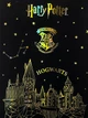 Винтажный блокнот на кольцах Harry Potter - изображение 2
