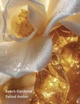 Спрей для тіла Victoria's Secret Seashell Shimmer Fragrance Mist - зображення 2