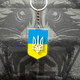 Брелок из Акрила Герб Украины - изображение 2