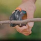 Секатор Gardena PremiumCut Pro dry wood 12250-20 с наковальней (24 мм) - изображение 5