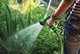 Шланг садовый 2E AquaFlex Emerald Pro 1/2“ 30м (2E-GHE12ED30) - изображение 6