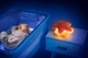 Muzyczna zabawka-lampka nocna Chicco You&Me Star (8058664180011) - obraz 20