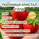 Саджанці полуниці (розсада) Кристал Голд (Cristal Gold) - пізня, крупноплідна, врожайна - зображення 5