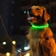 LED нашийник для собак що світиться в темряві з вбудованим акумулятором USB зарядка S 35 см зелений R9802 - зображення 7