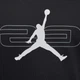 Кофта мужская Jordan M J Sprt Csvr Gfx Flc Po M Черный HQ8694-010 - изображение 7