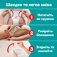 Подгузники Pampers Active Baby Pants Розмір 7 (15+ кг) 108 шт (8006530305747) - зображення 2