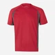 Футболка спортивная длинная мужская Velilla 105501_12/08 M Red/Grey (8435011494029) - изображение 1