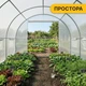 Садовая теплица ProDobro Garden 10 м² стальная 400х250х200 см белая - изображение 8