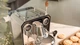 Кавоварка ріжкова Cecotec Baristeo Intima (A01_EU01_100127) - зображення 10