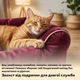 Диван-лежак для собак Inspire TMPB013 70 x 50 x 15 см Burgundy (TMPB013-burgundy) - зображення 6