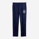 Спортивные штаны утепленные мужские GAP 263486863 L Синие (1160026157) - изображение 3