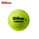 М'яч тенісний Wilson 3 шт - зображення 9