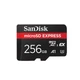Карта памяти SANDISK microSDXC 256GB Express (SDSQXFN-256G-ZN4NN) - изображение 1