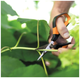 Садовые ножницы 21 см нержавеющая сталь для растений Fiskars LS-1552 - изображение 6