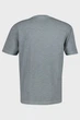 Чоловіча сіра футболка TONAL PRINT Gant M 2003410 - зображення 2