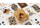 Карти United States Playing Card Company Карти гральні Bicycle Tiger - зображення 3