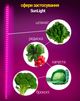 Светодиодный фитосветильник Sunlight 12W 90см розового цвета + сетевой кабель (SL/12/FULL) - изображение 3