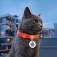 Нашийник для котів нейлоновий WAUCAT Nylon Recycled з QR адресником, градієнт, безпечна пряжка, XS, Ш 10 мм, Дов 20-30 см, помаранчевий - изображение 4