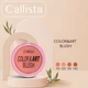 Компактные румяна Callista Color & Art Blush 130 Copper My Way 10 г (8680705130053) - изображение 5