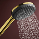 Лійка для душу HANSGROHE RAINDANCE ALIVE 24500990, золото, кругла - изображение 6