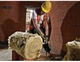 Brzeszczot do piły typu Alligator DeWalt HSS do wełny 430 mm (DT2979-QZ) - obraz 4