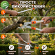 Сучкорез лезвие AgroStar мод.096 лезвие 75 мм для сухих веток плодовых деревьев телескопические ручки 50-78см - изображение 8