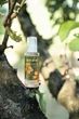 Увлажняющий флюид для волос Echosline Hydrating 100 мл - изображение 3