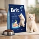 Сухий корм Brit Premium з куркою для кошенят усіх порід, 300 г - зображення 2