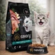 Сухий корм Savory зі свіжою індичкою та куркою для кошенят усіх порід, 8 кг - зображення 2