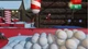 Ключ активації The Elf on the Shelf: Christmas Heroes для Xbox One/Series S/X - зображення 4