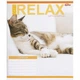 Тетрадь школьная Relax Cats в клетку на 18 листов комплект 20 штук цветная тетрадка для учебы и записей с ярким принтом котиков - изображение 4
