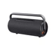 Bluetooth-колонка Manta SPK325 80W Чорна - зображення 1