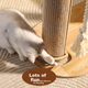 Котяче дерево Fandouchongshe з сизалевими колонами, інтегрований котячий будиночок, овальна велика космічна капсула, іграшка для котів - зображення 10