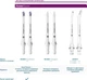 Насадки для зубной щетки PHILIPS Sonicare HX9092/87 А3 All-in-One - изображение 13