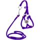 Круглая кожаная шлея WAUDOG Glamour N1 с поводком для кошек и мелких собак 105 см 6 мм Фиолетовая (34019) - изображение 1