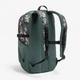 Туристичний Рюкзак QUECHUA 20л 46 x 20 x 14 см Зелений - зображення 2