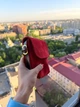 Маленькая замшевая женская сумочка-кошелёк через плечо красная из натуральной замши (0596) - изображение 5