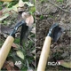 Сапа садовая мотика полильник для удаления сорняков и разрыхления почвы на огороде и в саду - изображение 5