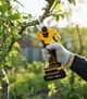 Акумуляторний набір садових інструментів 3в1 24V, акумуляторний секатор - зображення 2