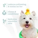 Шампунь-кондиционер для белых собак Espree Bright White Dog Shampoo&Conditioner 2in1 591мл - изображение 3