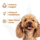 Шампунь-кондиционер для собак с вьющейся шерстью Espree Wavy Curly Coat Dog Shampoo&Conditioner 2in1 591мл - изображение 2