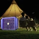 Лампа от насекомых Mosquito Lamp BG-009 аккумуляторная ультрафиолетовая для комаров мух и моли - изображение 6