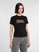 Футболка Dickies 10223168 Чёрный S DIW300 - изображение 1