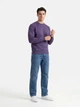 Свитшот Russell Authentic Sweat XS R81 Фиолетовый (0R262MR81XS) - изображение 2