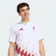 Мужская футболка Liverpool FC Stadium Graphic adidas KG2891 (M) белый (4068804742188) - изображение 4